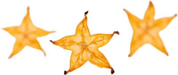 Star Fruit - Fine Cut Garnish