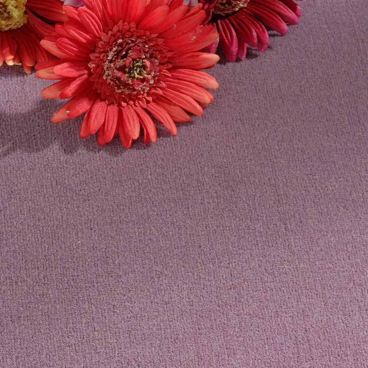 Radici USA Abetone Carpet