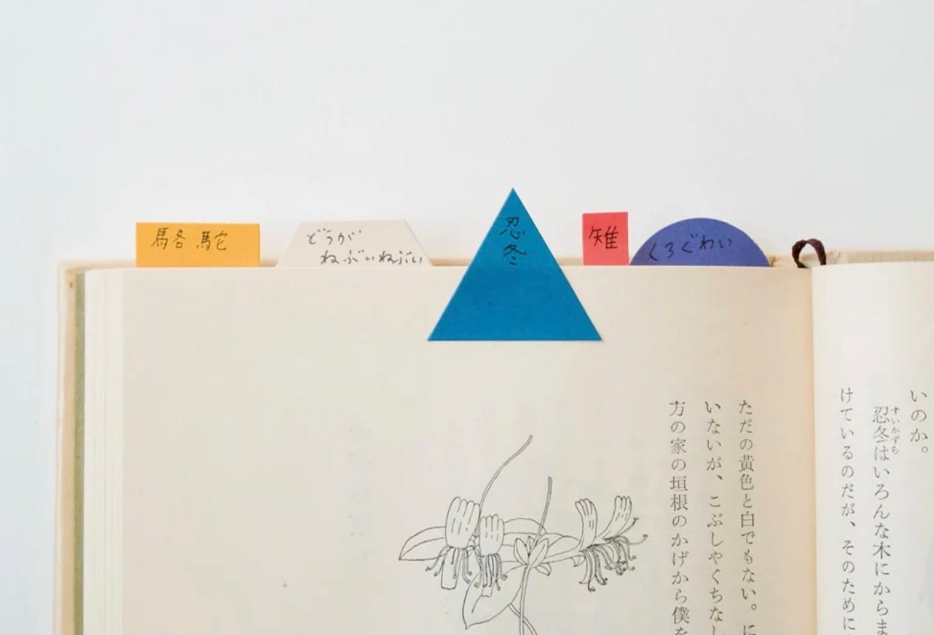 Classiky geometry sticky notes