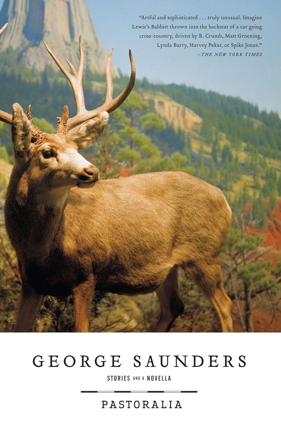 pastoralia by george saunders