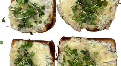 Ultimate Tuna Melts Recipe