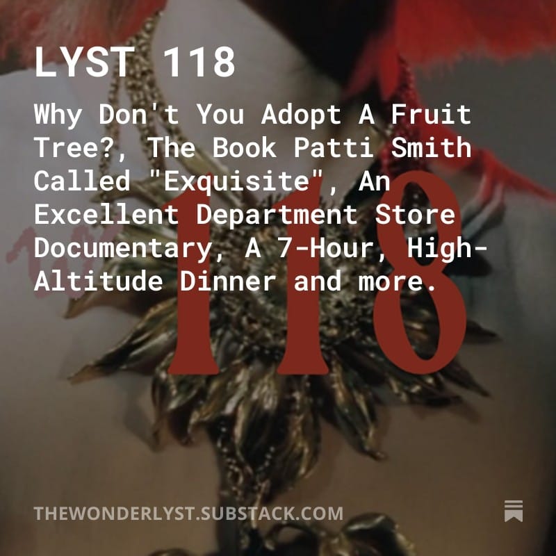 The Wonderlyst Lyst 118