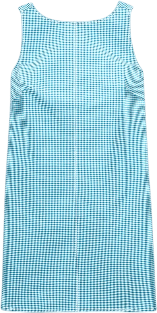 Billie dress in gingham double cotton poplin