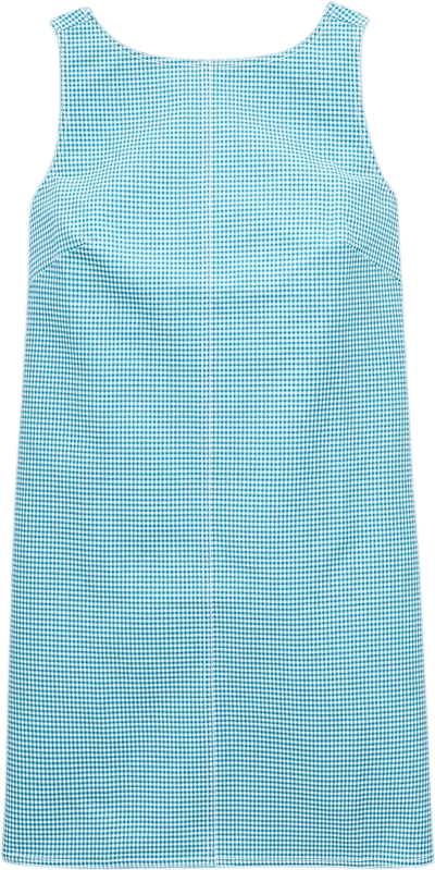 Billie Dress in Gingham Double Cotton Poplin