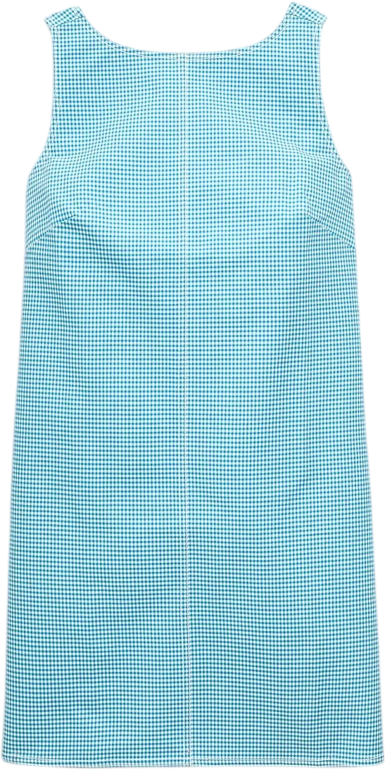 Billie Dress in Gingham Double Cotton Poplin
