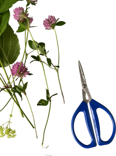 Joyce Chen Scissors