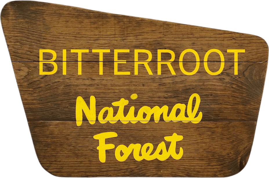 Custom National Forest Sign