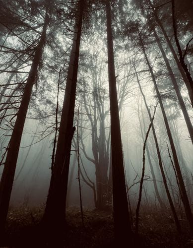 being humbled by the natural world