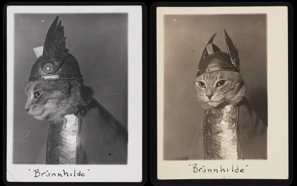 Brünnhilde (1936)
