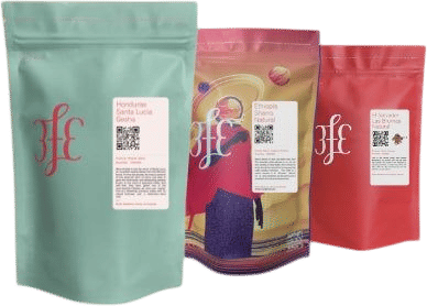 3fe