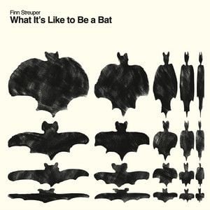 What It's Like to Be a Bat