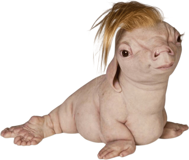 Patricia Piccinini, The Naturalist (2017)