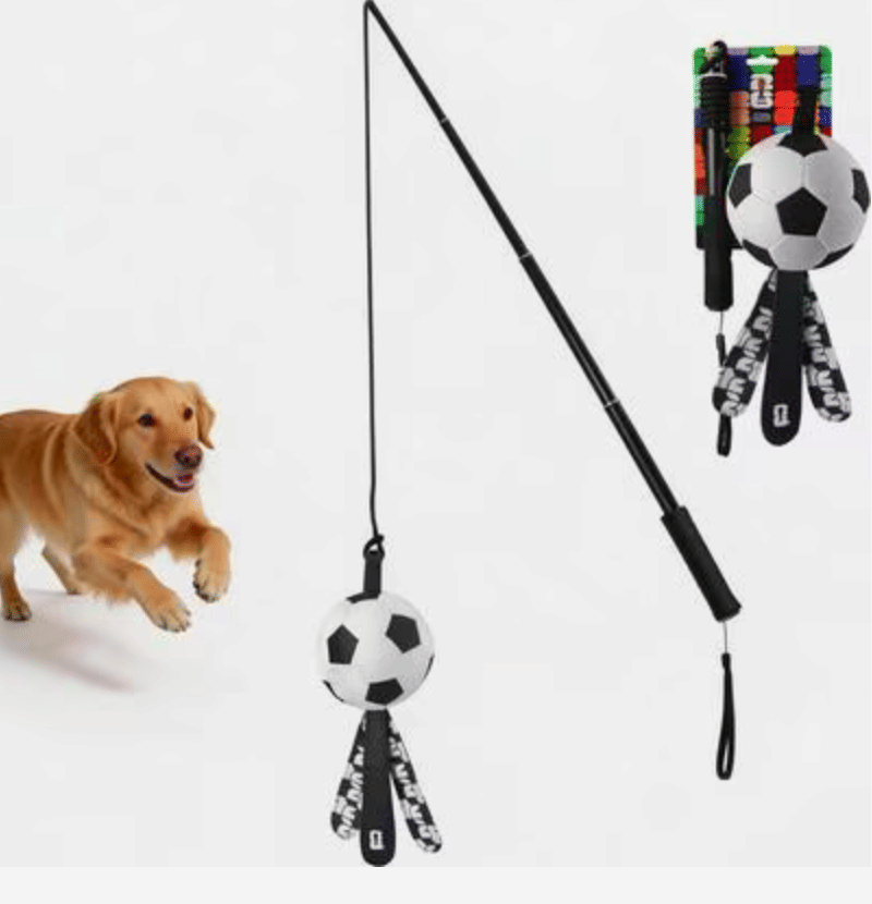 Getting Your Dog a Flirt Pole