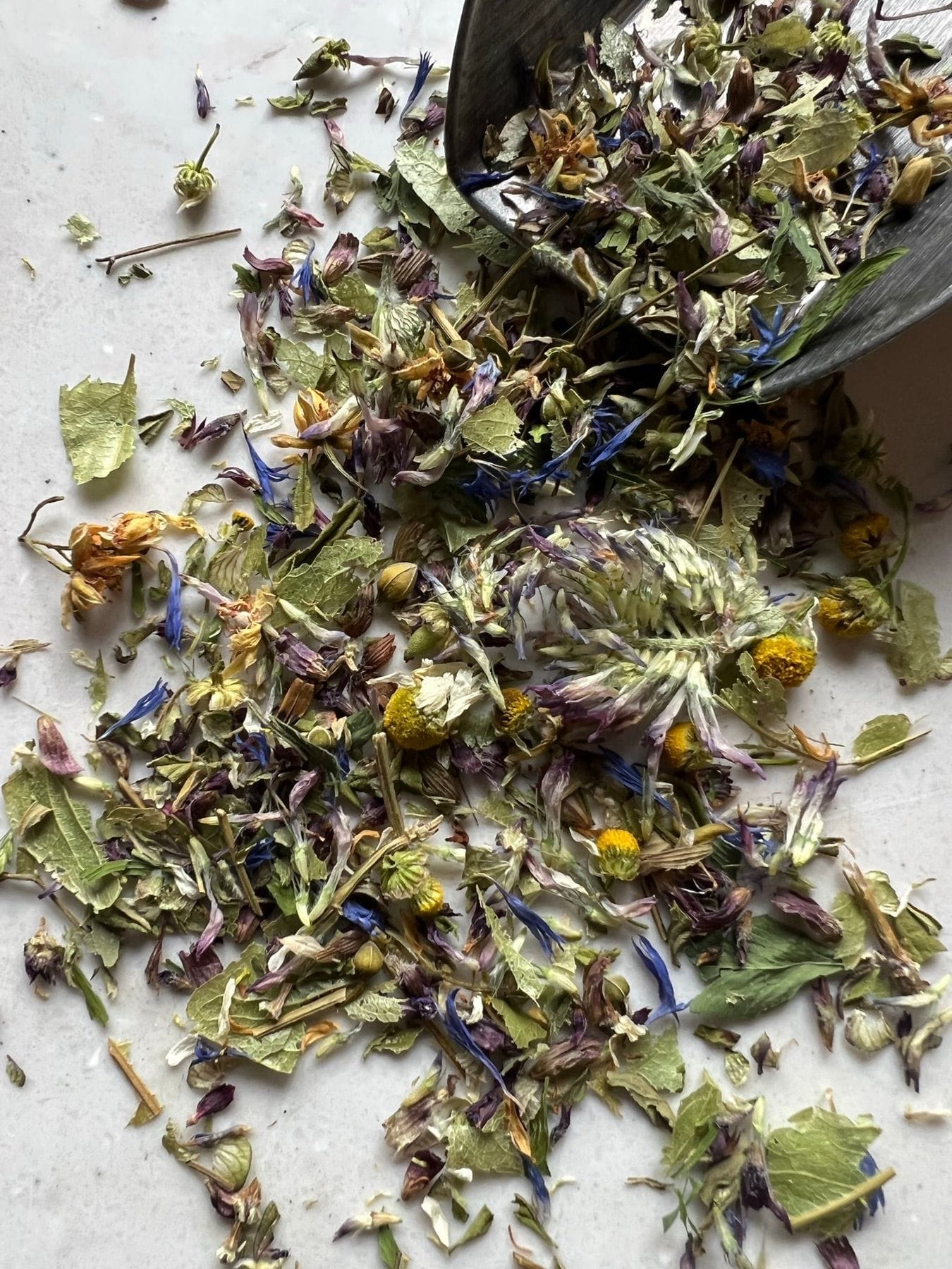 Bluestem Botanicals