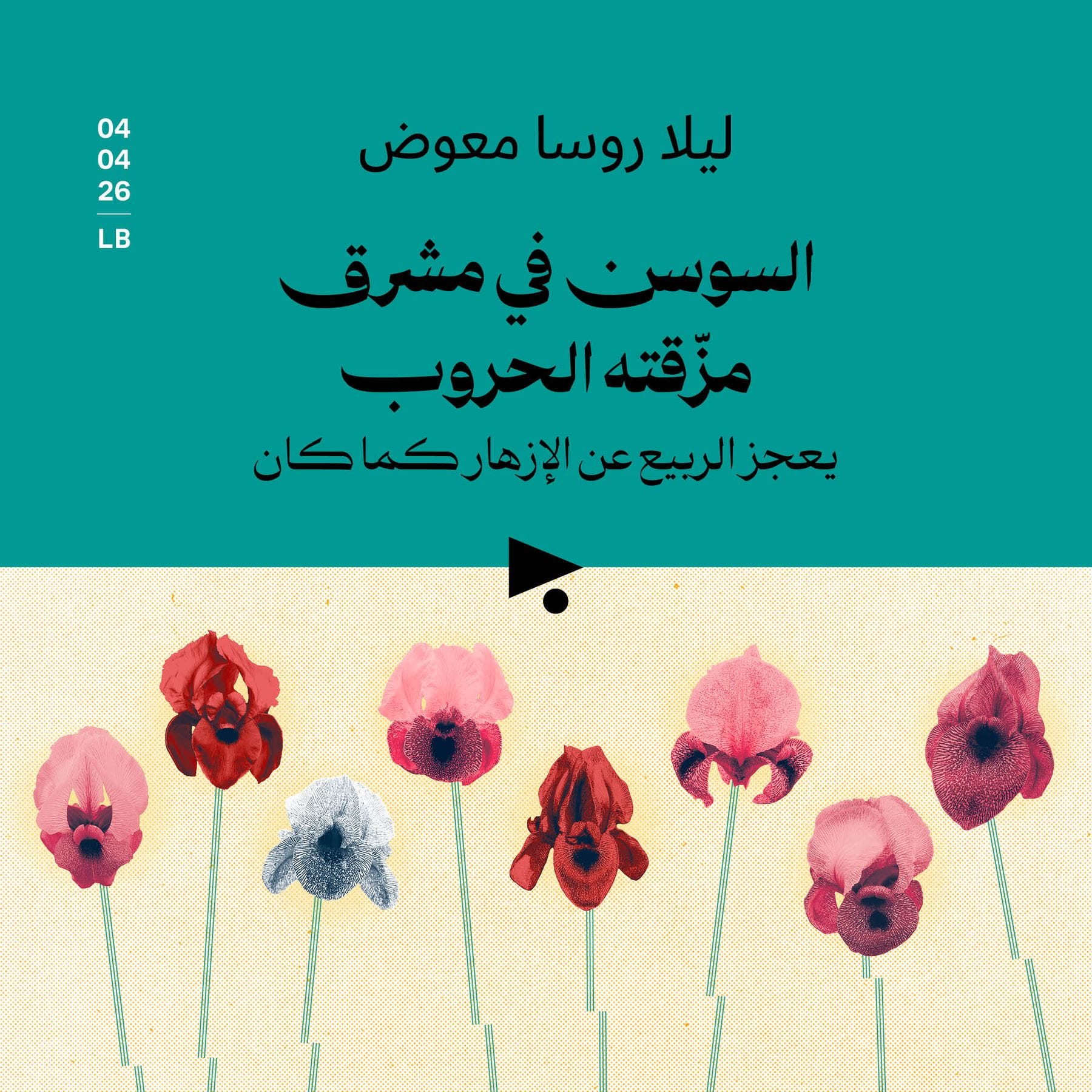 a love letter to the endangered irises of the Levant