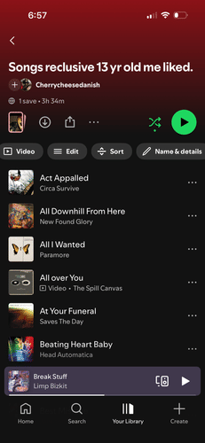 Songs Reclusive 13 Year Old Me Liked