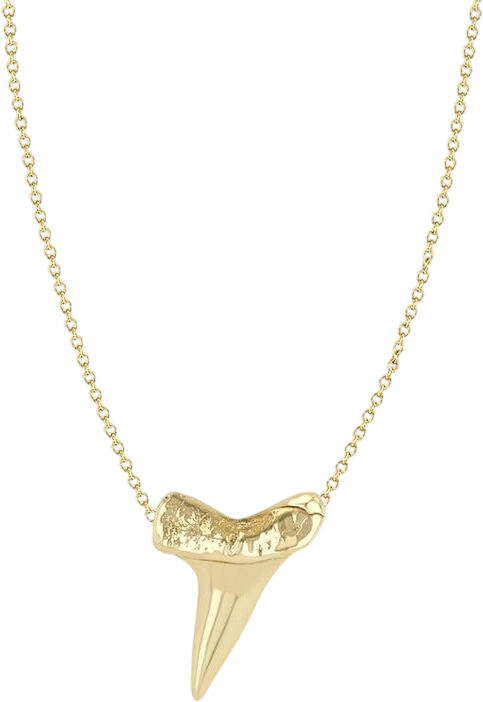 14k Shark Tooth Necklace