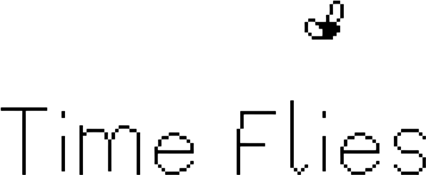 Time Flies