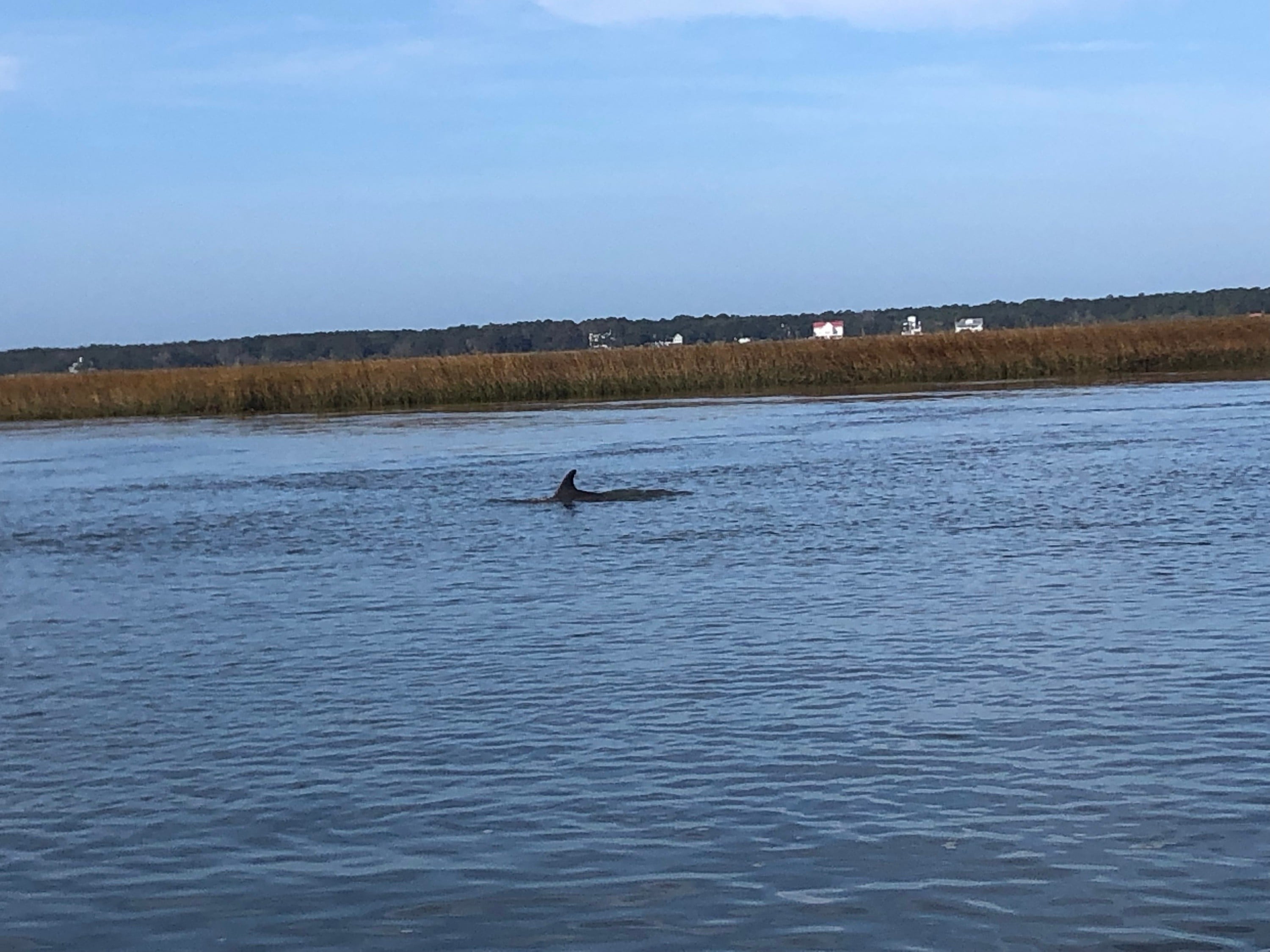 Bulls Island