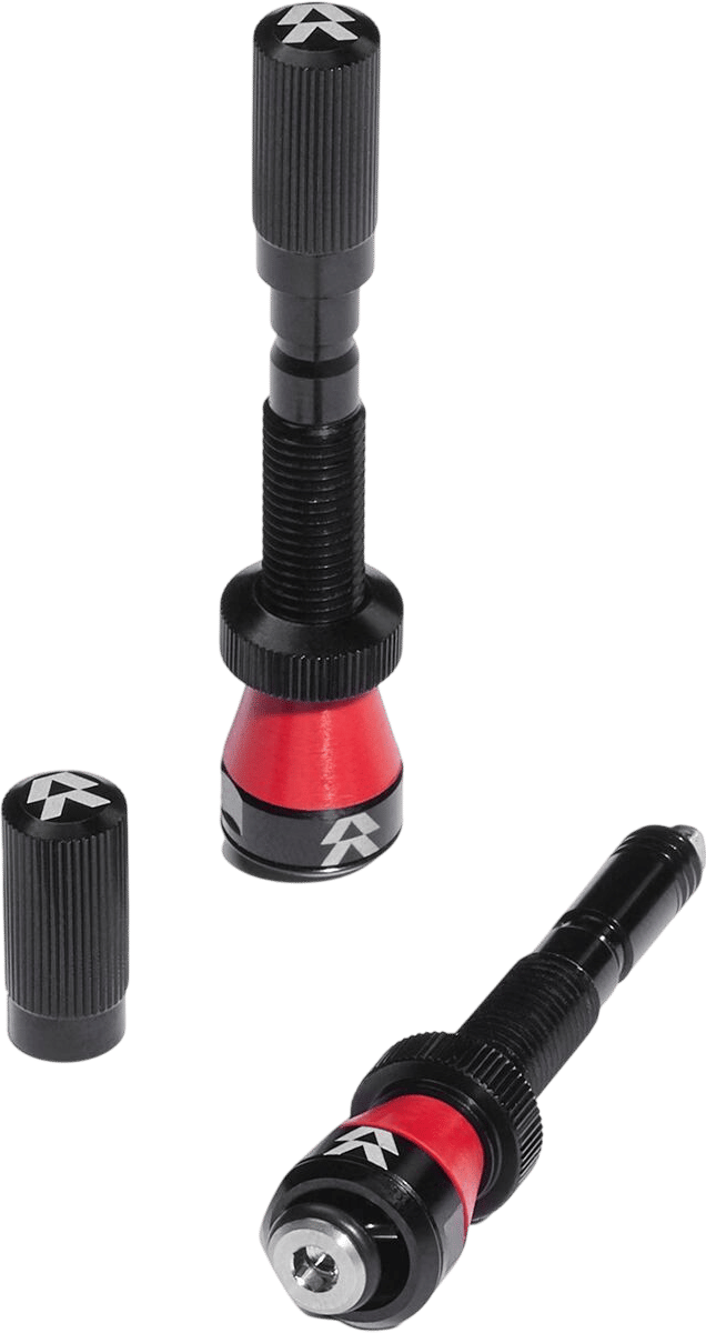 Fillmore tubeless valves