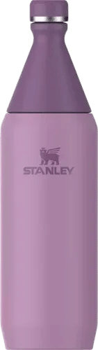 www.dickssportinggoods.com/p/stanley-34-ozall-d...