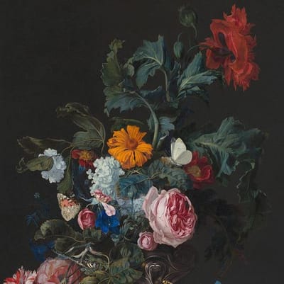 Rachel Ruysch: Artist, Naturalist, and Pioneer