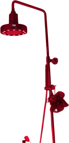 Red Light Showerhead Filter
