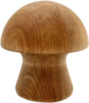 The Original Canterbury's Crack & Peel Garlic Peeler