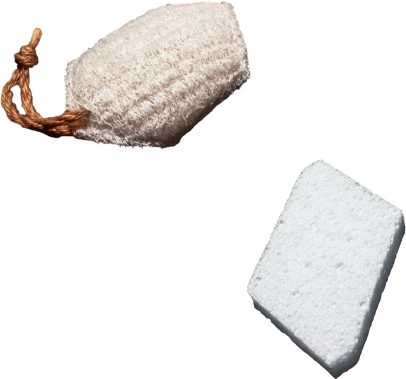 Sponge Bundle - Plastic free!