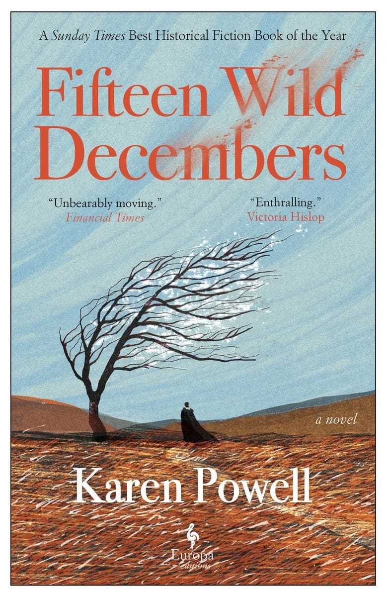 Fifteen Wild Decembers (Karen Powell)
