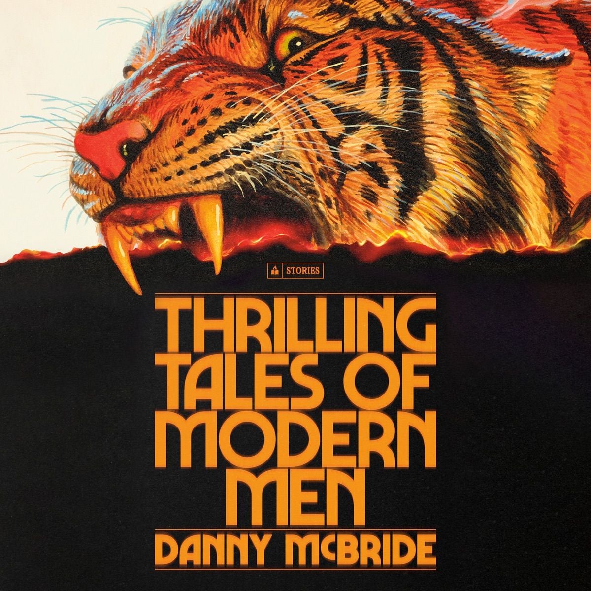Thrilling Tales of Modern Men by Danny McBride