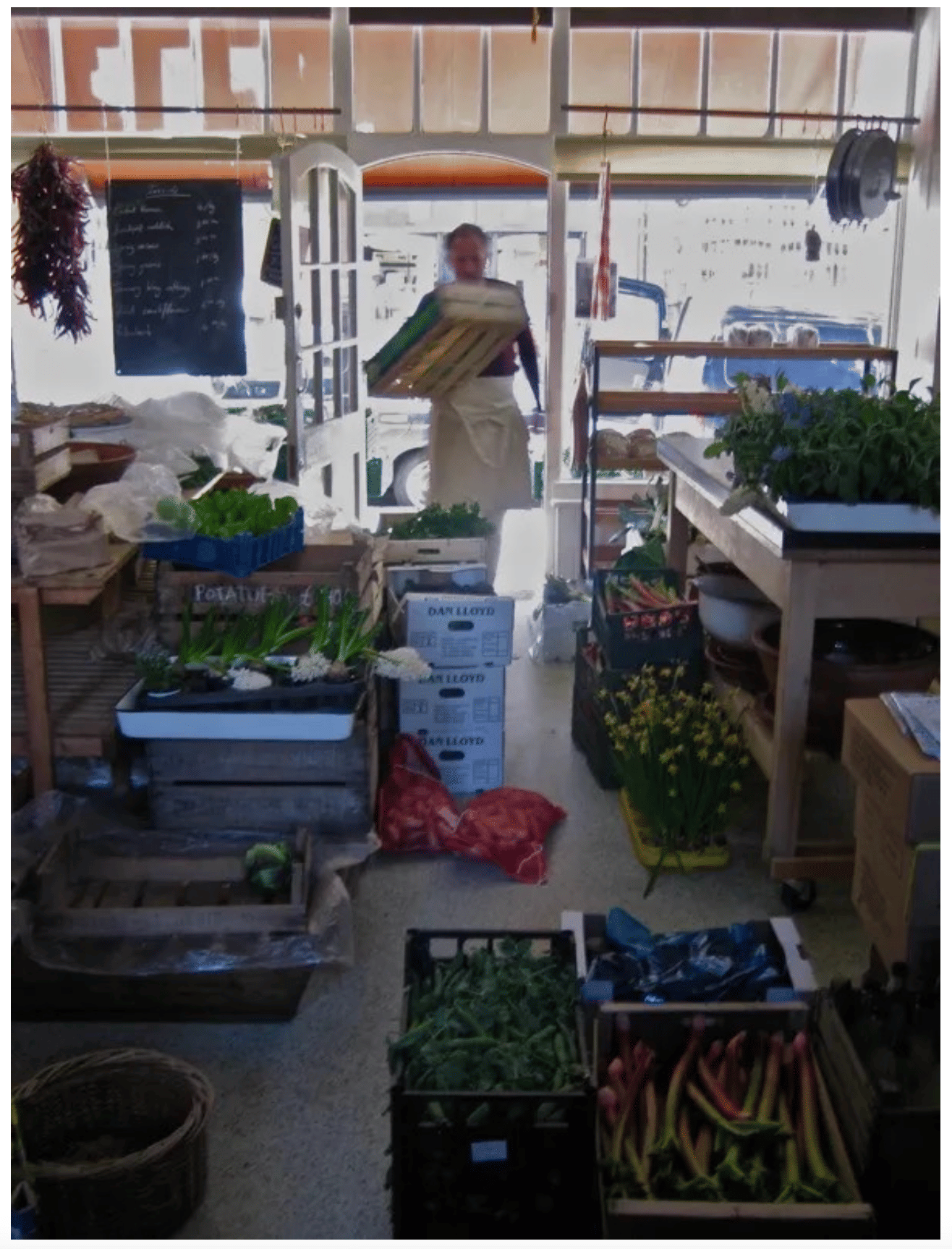 Leila's Shop