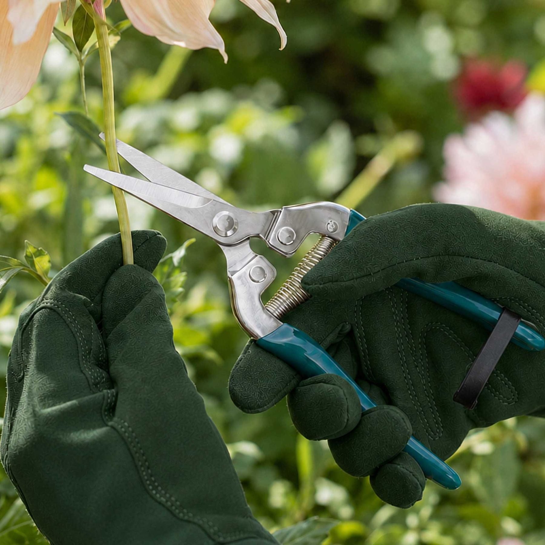 Flower & Fruit Snips