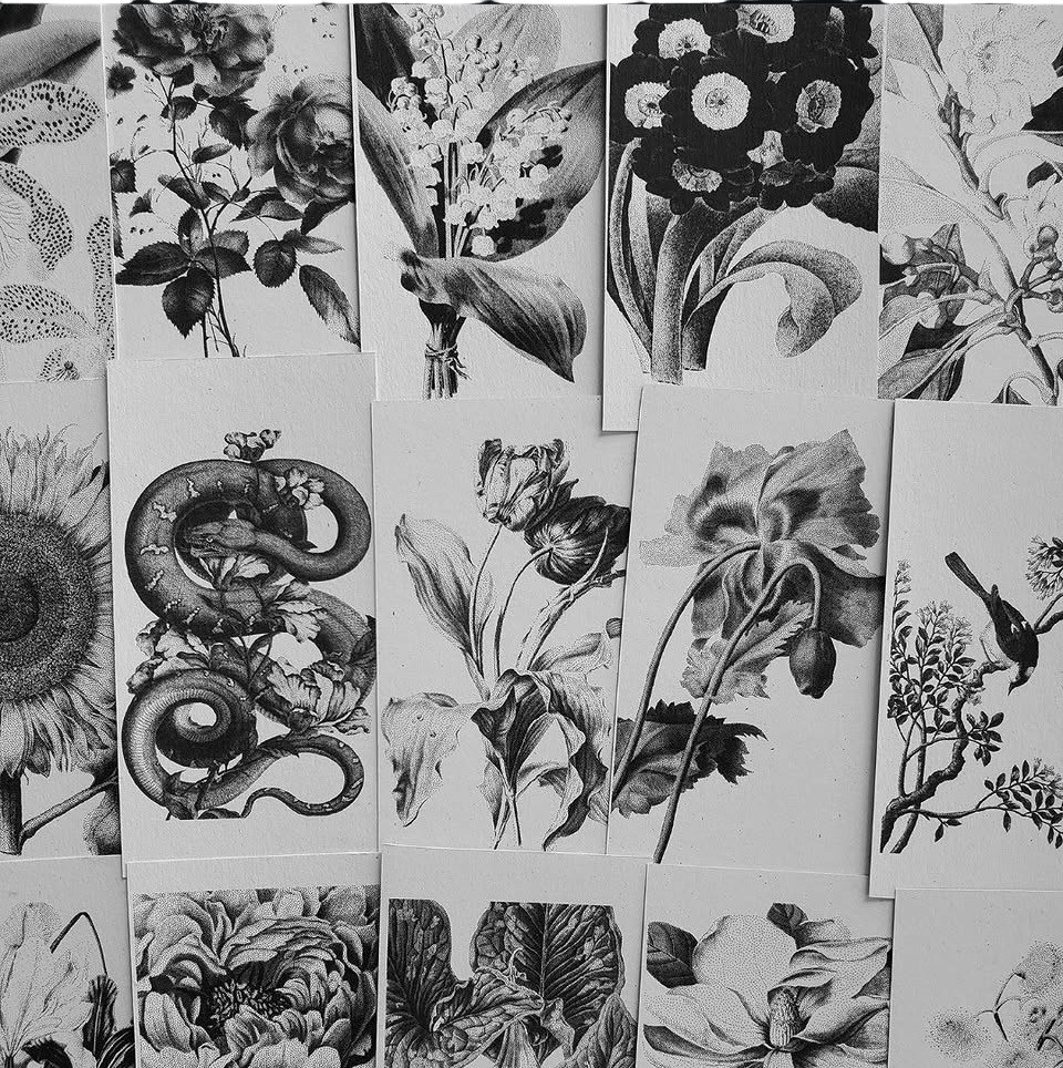 La Flora Tarot