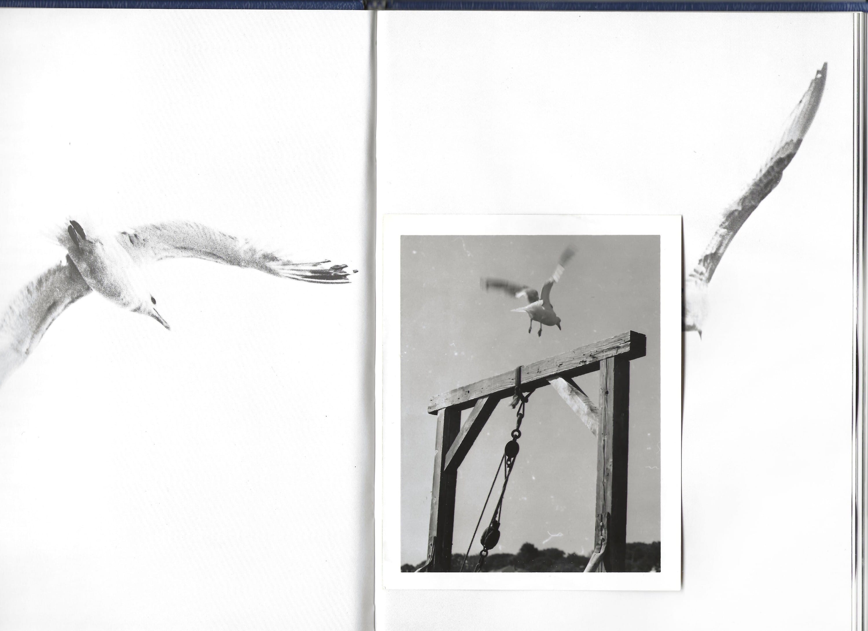 Surprising your future self by hiding ephemera in books