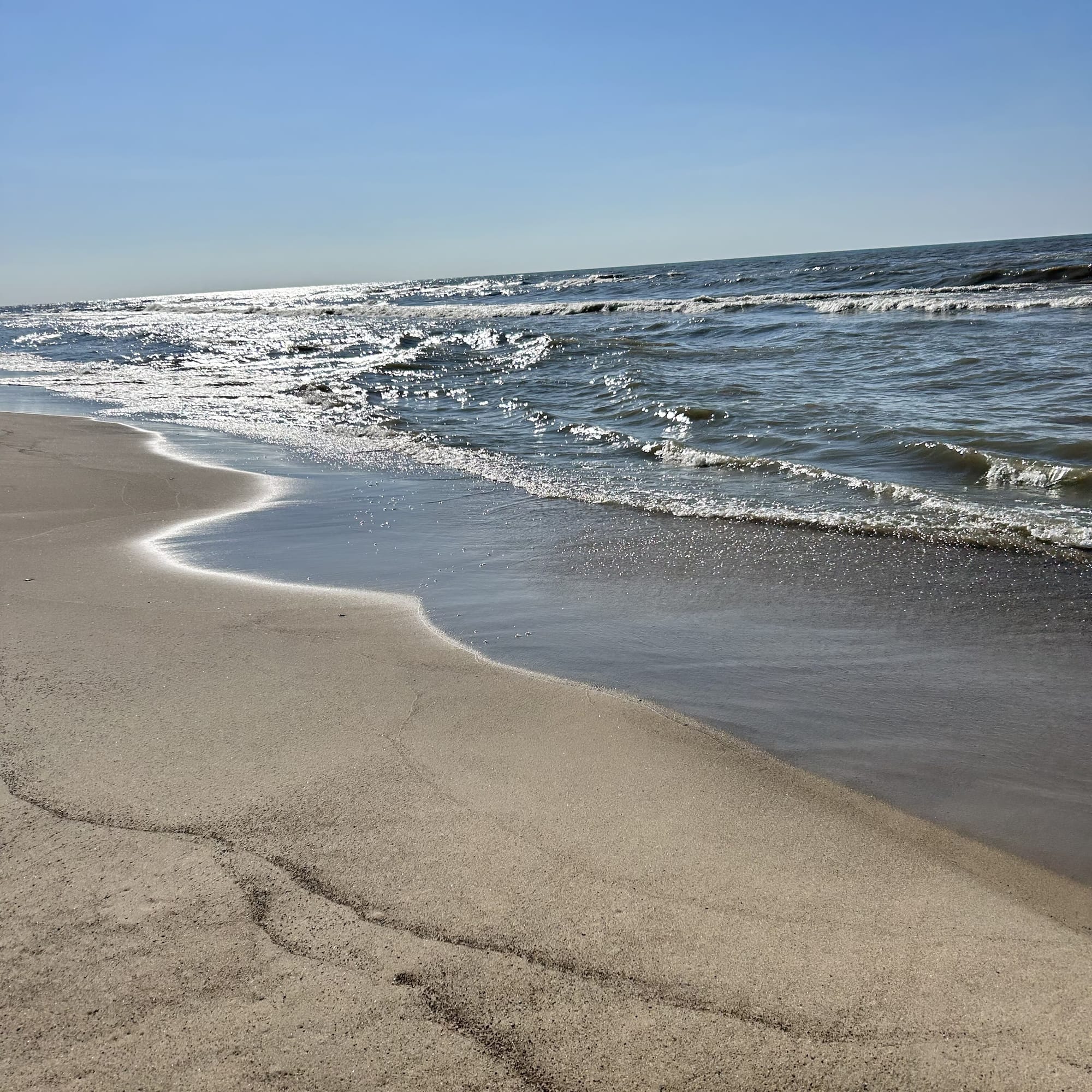 Michigan Coast