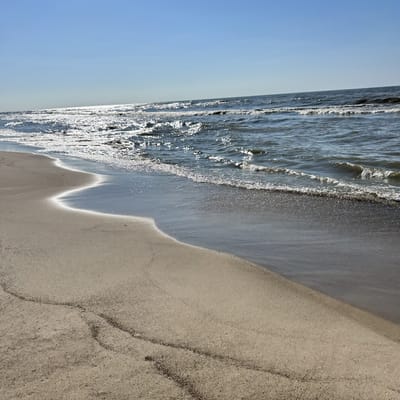 Michigan Coast