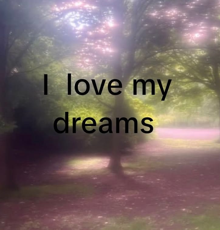 “a girl can dream”
