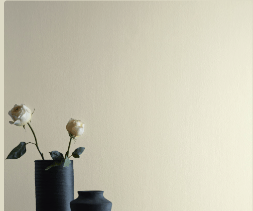 Benjamin Moore Paint Color Overcast (OC-43)