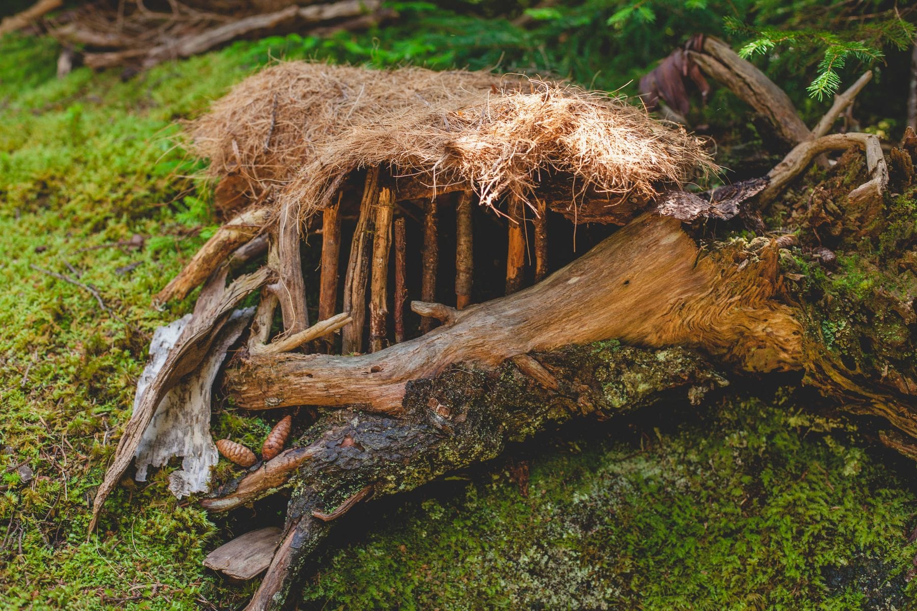 fairy house island close to portland, maine ✨