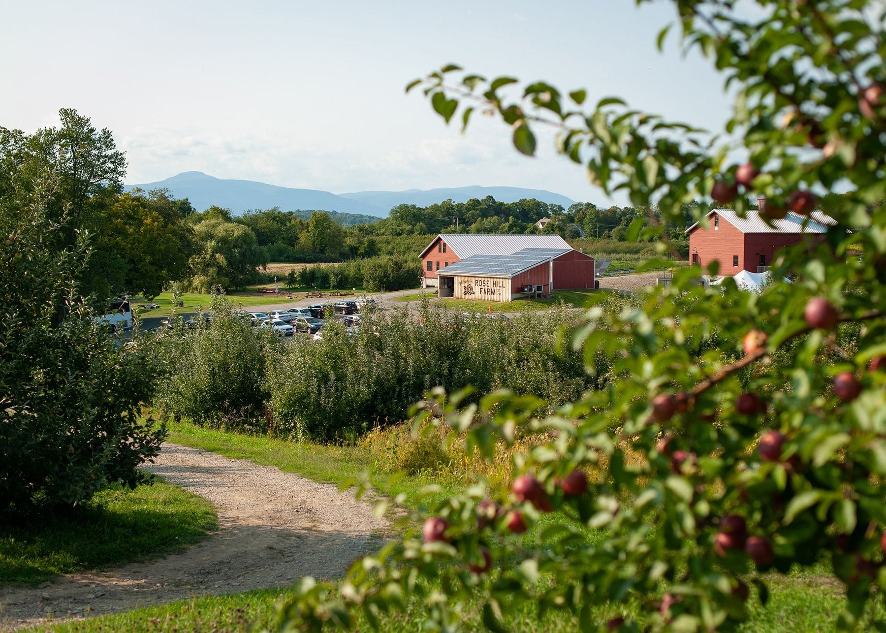 Rose Hill Winery & Cidery