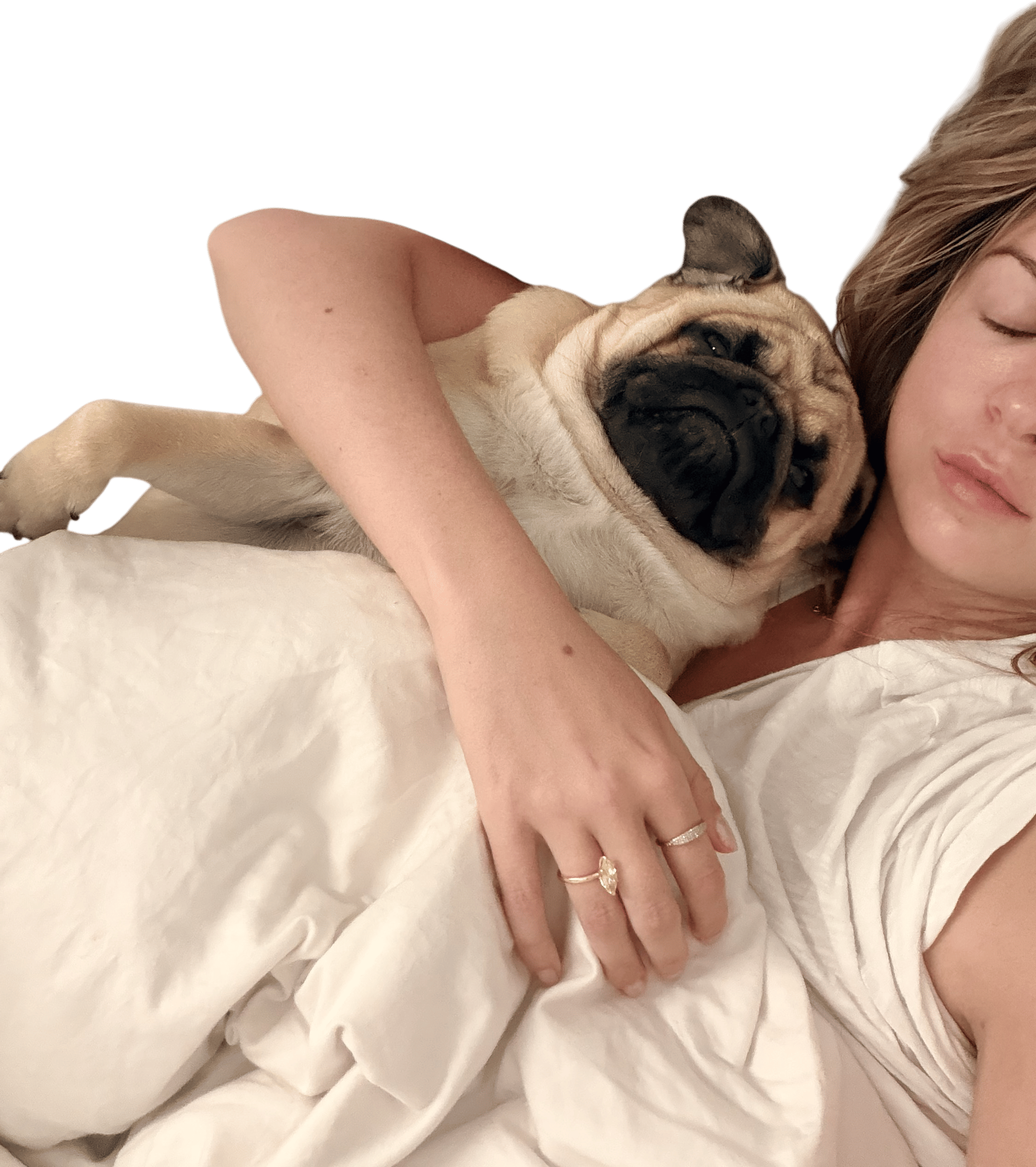 sleeping with a pug