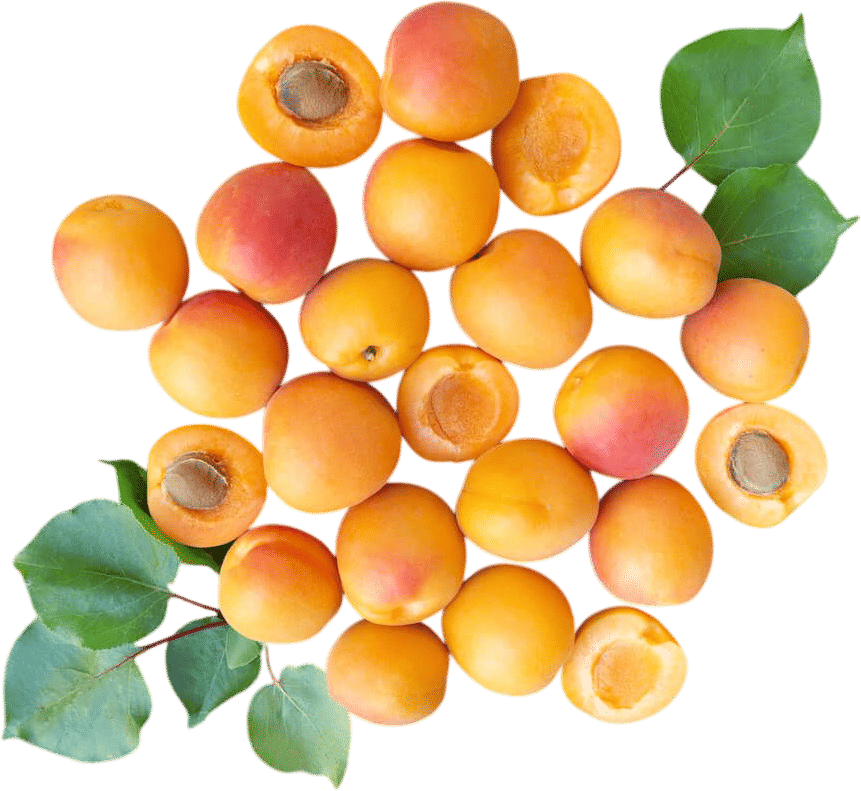 Frog Hollow Farm Organic Goshen Gold Apricots