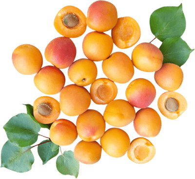 Organic Goshen Gold Apricots