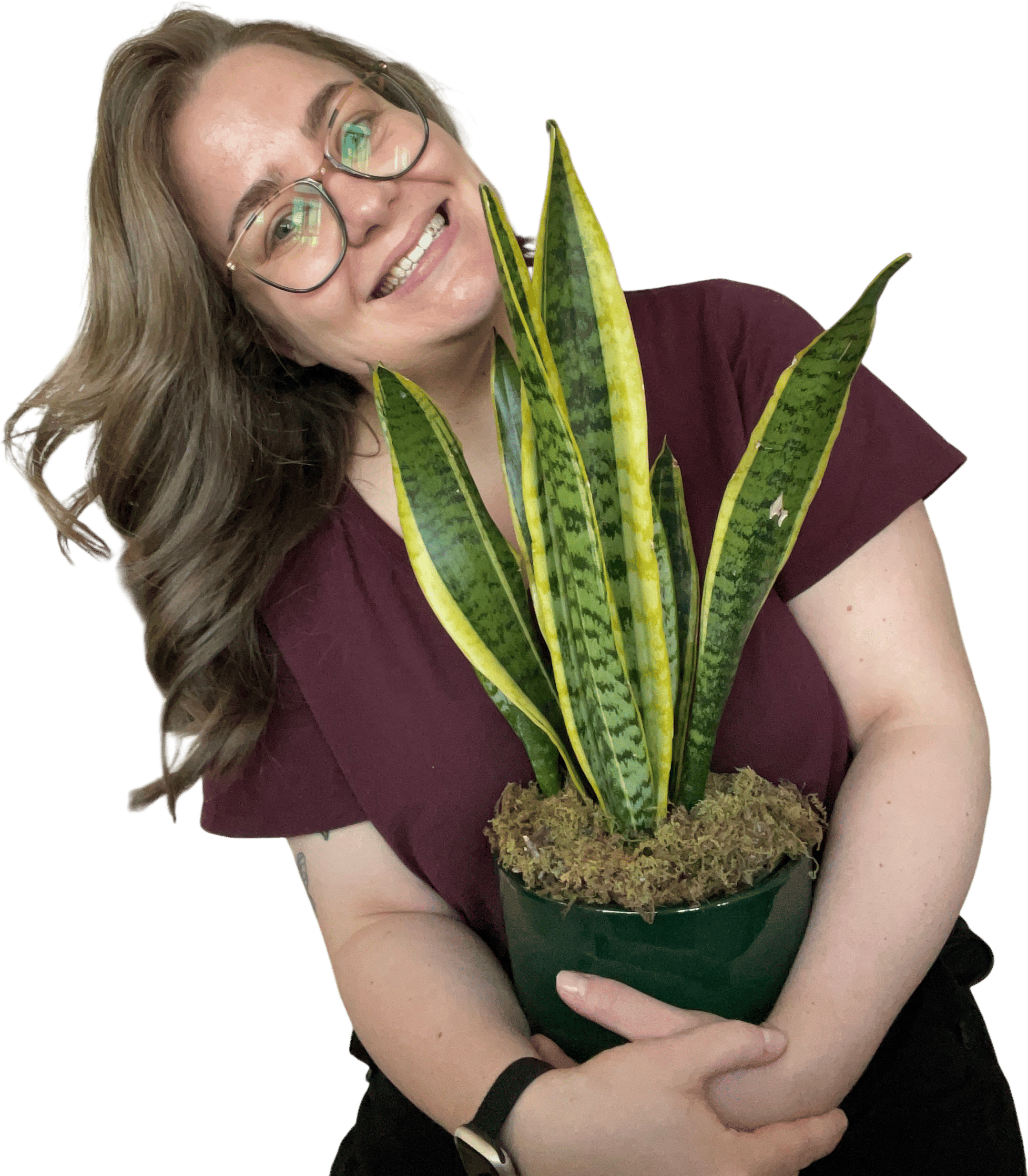 A new houseplant!