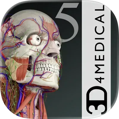 Essential Anatomy 5