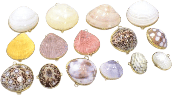 assorted colored shell pill box 