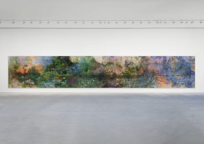 Firelei Báez (Exhibition at Hauser & Wirth)