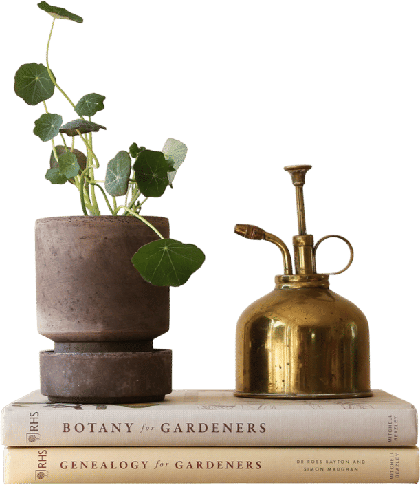 Hoff Planter (Cove)