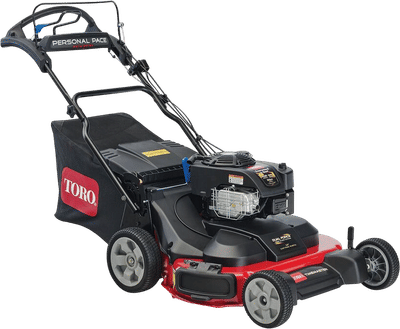 TimeMaster 30 in. Gas Lawn Mower